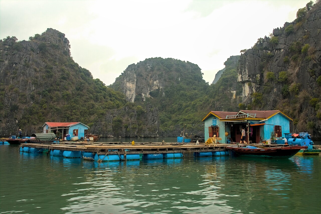 Nhà bè trên vịnh Bái Tử Long